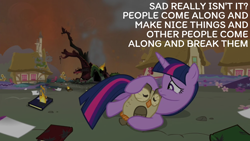 Size: 1920x1080 | Tagged: safe, edit, edited screencap, editor:quoterific, imported from derpibooru, screencap, owlowiscious, twilight sparkle, alicorn, twilight's kingdom, book, doctor who, fire, golden oaks library, twilight sparkle (alicorn)