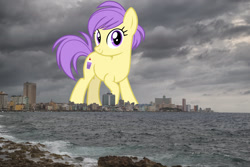 Size: 2048x1367 | Tagged: safe, artist:cheezedoodle96, edit, editor:jaredking779, imported from derpibooru, berry sweet, earth pony, pony, background pony, cuba, female, friendship student, giant pony, giant/macro earth pony, giantess, havana, highrise ponies, irl, looking at you, macro, mare, mega giant, photo, ponies in real life, smiling, solo