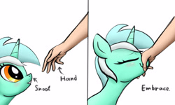 Size: 5000x3000 | Tagged: safe, artist:littlenaughtypony, imported from derpibooru, lyra heartstrings, human, pony, unicorn, cute, eyes closed, hand, horses doing horse things, lyrabetes, simple background, smiling, snoot, that pony sure does love hands, whiskers, white background, wholesome