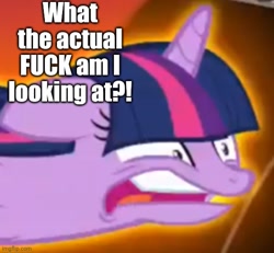 Size: 539x499 | Tagged: safe, edit, edited screencap, imported from derpibooru, screencap, twilight sparkle, alicorn, pony, twilight's kingdom, caption, faic, great moments in animation, image macro, reaction image, smear frame, text, twilight sparkle (alicorn), twilight vs tirek, vulgar