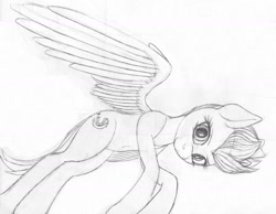Size: 1600x1240 | Tagged: safe, artist:styroponyworks, imported from derpibooru, fleetfoot, pegasus, pony, simple background, sketch, solo, spread wings, traditional art, white background, wings