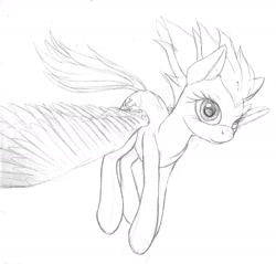 Size: 1600x1530 | Tagged: safe, artist:styroponyworks, imported from derpibooru, fleetfoot, pegasus, pony, simple background, sketch, solo, spread wings, traditional art, white background, wings