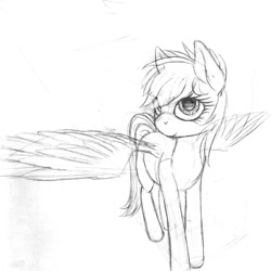 Size: 1200x1200 | Tagged: safe, artist:styroponyworks, imported from derpibooru, rainbow dash, pegasus, pony, monochrome, simple background, sketch, solo, traditional art, white background