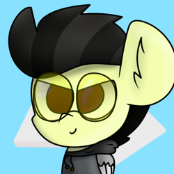 Size: 720x720 | Tagged: safe, artist:nhale, imported from derpibooru, oc, oc only, oc:lionard, pegasus, big ears, black mane, brown eyes, clothes, glasses, logo, male, pegasus oc, ponysona, stallion