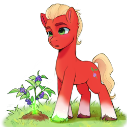 Size: 2048x2048 | Tagged: safe, artist:xiaowu07, imported from derpibooru, sprout cloverleaf, earth pony, pony, cute, earth pony magic, g5, glowing, glowing hooves, magic, male, plant, simple background, solo, stallion, white background