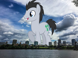 Size: 1080x810 | Tagged: safe, artist:dashiesparkle, edit, editor:jaredking779, imported from derpibooru, lucky clover, earth pony, pony, arkansas, background pony, giant pony, giant/macro earth pony, highrise ponies, irl, little rock, macro, male, mega giant, open mouth, photo, ponies in real life, raised hoof, smiling, solo, stallion