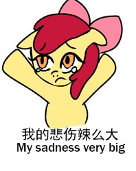 Size: 392x495 | Tagged: safe, anonymous artist, imported from derpibooru, apple bloom, earth pony, pony, chinese, crying, engrish, female, filly, floppy ears, foal, frown, meme, ponified, ponified meme, raised hooves, sad, simple background, solo, text, white background