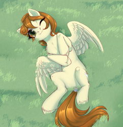 Size: 3000x3100 | Tagged: safe, artist:nika-rain, imported from derpibooru, oc, oc only, pegasus, pony, commission, cute, grass, ocbetes, pegasus oc, sketch, solo, ych result, your character here