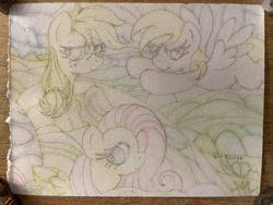 Size: 2048x1536 | Tagged: safe, artist:thor-disciple, applejack, derpy hooves, fluttershy, earth pony, pegasus, pony, traditional art