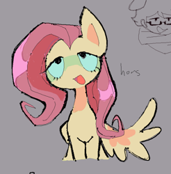 Size: 796x808 | Tagged: safe, artist:chalkdraws, imported from derpibooru, fluttershy, pegasus, pony, open mouth, simple background, solo, text