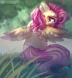 Size: 1000x1079 | Tagged: safe, artist:chaosangeldesu, imported from derpibooru, fluttershy, pegasus, pony, blushing, cute, female, grass, hiding, looking at you, looking back, looking back at you, mare, rear view, shyabetes, sitting, solo, spread wings, wings