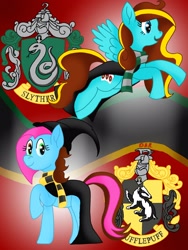 Size: 1620x2160 | Tagged: safe, artist:gracefulart693, imported from derpibooru, oc, oc:ilovekimpossiblealot, earth pony, pegasus, pony, clothes, duo, earth pony oc, female, harry potter (series), mare, pegasus oc, scarf, smiling