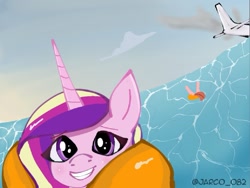 Size: 1065x803 | Tagged: safe, artist:jarco_082, imported from derpibooru, princess cadance, alicorn, accident, meme, ocean, plane, ponified meme, selfie, spanish, water