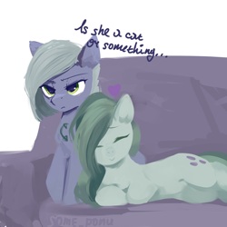Size: 3000x3000 | Tagged: safe, artist:some_ponu, imported from derpibooru, limestone pie, marble pie, earth pony, pony, :>, behaving like a cat, couch, duo, eyes closed, female, happy, heart, lying down, mare, siblings, simple background, sisters, smiling, text, white background
