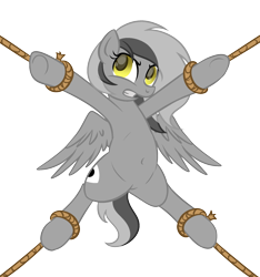 Size: 1124x1200 | Tagged: safe, artist:arshe12, artist:datte-before-dawn, edit, imported from derpibooru, oc, oc only, oc:graeyscale, pegasus, pony, belly, belly button, bondage, featureless crotch, female, rope, simple background, solo, spread eagle, spread legs, spreading, transparent background, wings