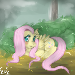 Size: 500x500 | Tagged: safe, artist:acidiic, imported from derpibooru, fluttershy, pegasus, pony, 2012, blushing, bush, female, looking at you, lying down, mare, outdoors, partially open wings, prone, solo, tree, wings