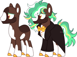 Size: 3692x2733 | Tagged: safe, artist:kurosawakuro, imported from derpibooru, oc, oc only, earth pony, pony, base used, clothes, earth pony oc, male, simple background, solo, stallion, transparent background