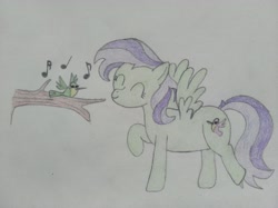 Size: 4032x3016 | Tagged: safe, artist:jakusi, violet twirl, bird, hummingbird, pegasus, pony, dancing, eyes closed, female, friendship student, happy, mare, music notes, singing, traditional art, tree branch