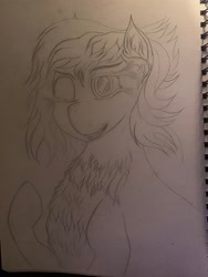 Size: 3024x4032 | Tagged: safe, artist:darkini von blessy, imported from derpibooru, oc, oc only, pony, chest fluff, happy, lineart, monochrome, one eye closed, pencil drawing, pony oc, pose, sketch, sketchbook, smiling, solo, traditional art, wink