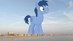 Size: 3840x2160 | Tagged: safe, artist:cloudy glow, edit, editor:jaredking779, imported from derpibooru, blues, noteworthy, earth pony, pony, background pony, beach, california, giant pony, high res, highrise ponies, irl, los angeles, macro, male, photo, ponies in real life, smiling, solo, stallion, story included, venice beach