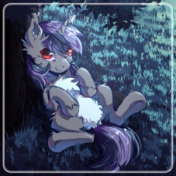 Size: 3000x3000 | Tagged: safe, artist:lonelyghost, imported from derpibooru, oc, oc:dreaming star, bat pony, bat pony unicorn, hybrid, pony, unicorn, bat pony oc, belly, belly fluff, chest fluff, commission, cute, fangs, featureless crotch, grass, grass field, horn, lying down, male, moonlight, night, ocbetes, on back, outdoors, pale belly, red eyes, stallion, tail, tail between legs