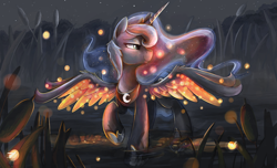Size: 1256x766 | Tagged: dead source, safe, artist:blitzpony, imported from twibooru, princess luna, alicorn, firefly (insect), insect, pony, 2013, banned from derpibooru, female, image, mare, night, png, siblings, solo