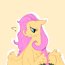 Size: 768x768 | Tagged: safe, artist:nachosforfree, imported from derpibooru, fluttershy, pegasus, pony, bust, chest fluff, sitting, solo, sweat, sweatdrop, unshorn fetlocks