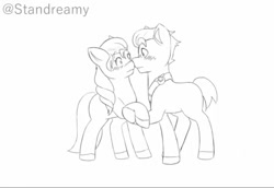 Size: 800x551 | Tagged: safe, artist:standreamy, imported from derpibooru, hitch trailblazer, sunny starscout, earth pony, pony, blushing, boop, duo, duo male and female, female, g5, holding hooves, male, mare, nose to nose, nose wrinkle, noseboop, shipping, shy, simple background, stallion, straight, sunnyhitch, white background