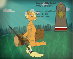 Size: 1280x1024 | Tagged: safe, artist:clevercloud2022pl, imported from derpibooru, oc, oc only, oc:huntercloud, pegasus, pony, army, blonde hair, description, forest, general, gun, leaning, male, pegasus oc, poland, purple eyes, rank, rifle, sitting, solo, stallion, sun, sunshine, tail, trunk, weapon, wings