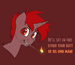 Size: 2176x1872 | Tagged: safe, artist:jewellier, imported from derpibooru, oc, oc only, oc:hardy, alicorn, pony, bust, fire, looking at you, male, match, portrait, pyromania, stallion