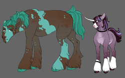 Size: 2855x1776 | Tagged: safe, artist:felinenostalgic, imported from derpibooru, oc, oc only, earth pony, pony, unicorn, choker, coat markings, cousins, duo, earth pony oc, female, gray background, horn, magical gay spawn, male, mare, offspring, parent:big macintosh, parent:shining armor, parent:trouble shoes, parent:twilight sparkle, parents:shiningmac, parents:troubletwi, simple background, socks (coat markings), stallion, twitterina design, unicorn oc, unshorn fetlocks