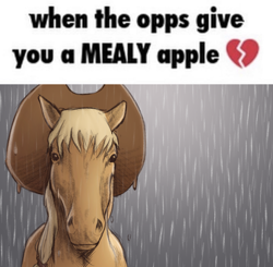 Size: 750x735 | Tagged: safe, artist:winterclover, imported from derpibooru, applejack, earth pony, horse, hat, hoers, looking at you, man i'm so hungry / how hungry, meme, rain, realistic, solo, text