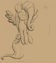 Size: 1153x1280 | Tagged: safe, artist:ricktin, imported from derpibooru, fluttershy, pony, sketch, solo