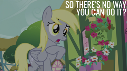 Size: 1920x1080 | Tagged: safe, edit, edited screencap, editor:quoterific, imported from derpibooru, screencap, derpy hooves, pegasus, pony, slice of life (episode), female, mare, open mouth, solo