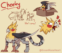 Size: 1280x1098 | Tagged: safe, artist:greenmaneheart, imported from derpibooru, oc, oc:cheeky, bird, cat, cockatiel, griffon, hybrid, parrot, parrot griffon, behaving like a cat, box, griffon oc, griffons doing cat things, size difference, solo