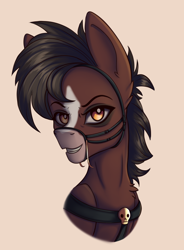 Size: 1318x1792 | Tagged: safe, artist:tanatos, imported from derpibooru, oc, oc:lisette, earth pony, pony, blaze (coat marking), bust, coat markings, facial markings, portrait, simple background, solo, yellow eyes