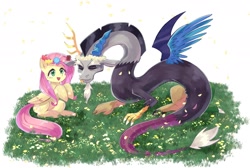 Size: 1803x1210 | Tagged: safe, artist:plusplus_pony, imported from derpibooru, discord, fluttershy, draconequus, pegasus, pony, all fours, candy, discoshy, duo, duo male and female, eyes closed, female, floral head wreath, flower, folded wings, food, grass, male, mare, mismatched wings, open mouth, open smile, raised hoof, shipping, sitting, smiling, spread wings, straight, wings