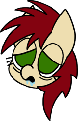 Size: 312x482 | Tagged: safe, artist:aprilfools, oc, oc only, earth pony, pony, /bale/, drool, drool on face, earth pony oc, eye bag, female, head, mare, simple background, solo, transparent background