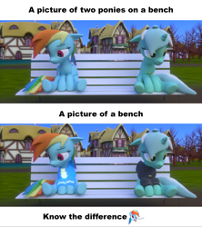 Size: 2560x2880 | Tagged: safe, artist:edward256, imported from derpibooru, lyra heartstrings, rainbow dash, pegasus, pony, unicorn, fanfic:background pony, fanfic:cupcake chronicles, 3d, bench, black hoodie, blender, blender cycles, clothes, comparison, crying, dig the swell hoodie, female, golden heart-shaped locket, hoodie, jewelry, know the difference, locket, necklace, ponyville, sad, wings, wonderbolt hoodie