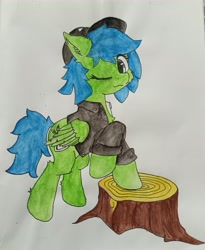 Size: 3025x3683 | Tagged: safe, artist:spearmint, imported from derpibooru, oc, oc only, oc:spearmint, pegasus, solo, traditional art, tree stump