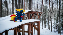 Size: 1192x670 | Tagged: safe, artist:mgrdash, imported from derpibooru, oc, oc only, oc:firesky, pegasus, pony, endangering plushies, forest, irl, photo, plushie, ponies in real life, snow, solo, winter