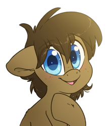 Size: 2415x2739 | Tagged: safe, artist:fluffyxai, imported from derpibooru, oc, oc only, oc:spirit wind, earth pony, pony, cute, earth pony oc, looking at you, male, simple background, smiling, solo, stallion, transparent background