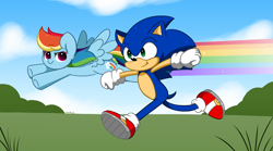 Size: 6032x3344 | Tagged: safe, artist:kittyrosie, imported from derpibooru, rainbow dash, pegasus, pony, absurd resolution, clothes, cloud, fast, flying, gloves, grass, race, rainbow, running, shoes, sky, sonic the hedgehog, sonic the hedgehog (series)