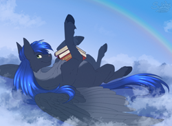 Size: 1600x1170 | Tagged: safe, artist:sunny way, imported from derpibooru, oc, oc only, oc:star reader, pegasus, pony, book, chest fluff, cloud, commission, commissioner:shaddar, male, on a cloud, pegasus oc, rainbow, solo, wings