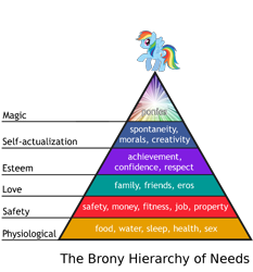 Size: 1000x1075 | Tagged: safe, artist:ferdrimmler, imported from derpibooru, rainbow dash, brony, maslow's hierarchy of needs, meme, simple background, solo, stock vector, transparent background, vector