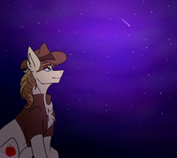 Size: 2600x2322 | Tagged: safe, artist:tocik, imported from derpibooru, braeburn, earth pony, clothes, commission, hat, looking up, male, night, shooting star, sitting, smiling, solo, stallion, two toned mane, vest, ych result