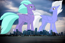 Size: 2048x1365 | Tagged: safe, artist:dashiesparkle, edit, editor:jaredking779, imported from derpibooru, seaspray, sky beak, classical hippogriff, hippogriff, duo, florida, giant hippogriff, highrise ponies, irl, jewelry, macro, male, mega giant, miami, necklace, photo, ponies in real life, story included