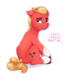 Size: 2544x2840 | Tagged: safe, artist:malarkey, imported from derpibooru, sprout cloverleaf, earth pony, pony, g5, male, meta, sad, simple background, solo, stallion, text, white background