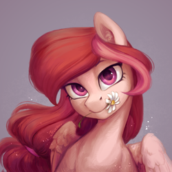 Size: 1500x1500 | Tagged: safe, artist:jewellier, imported from derpibooru, oc, oc only, pegasus, pony, bust, cute, daisy (flower), female, flower, flower in mouth, gray background, looking at you, mare, mouth hold, pegasus oc, portrait, simple background, solo