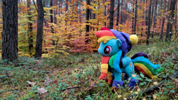 Size: 1192x670 | Tagged: safe, artist:mgrdash, imported from derpibooru, rainbow dash, pegasus, pony, autumn, forest, outerwear, photo